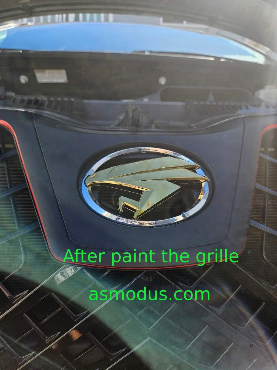 Sienna Asmodus Custom Emblem Replacements